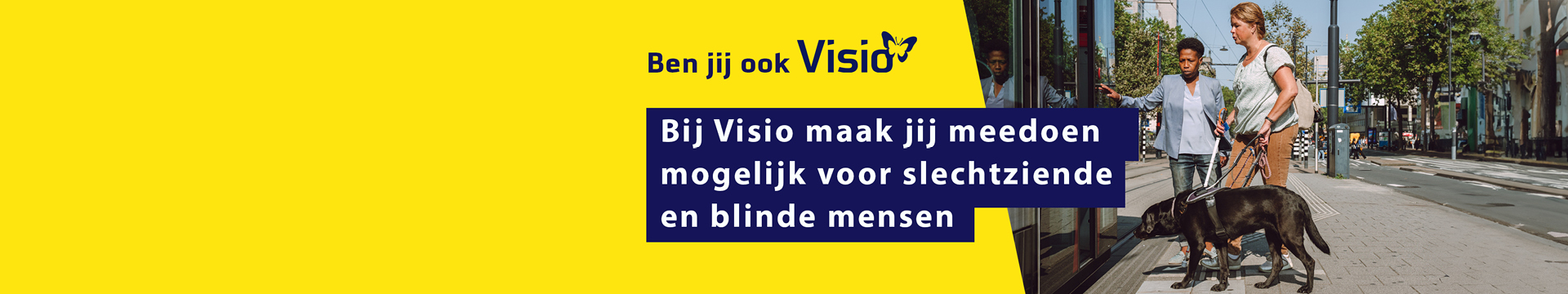Koninklijke Visio